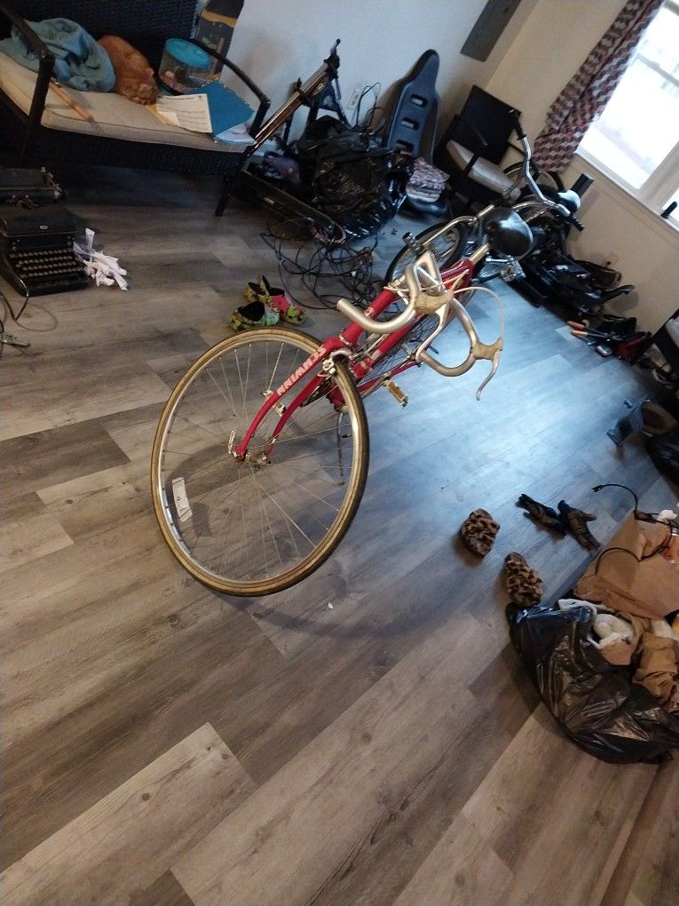 Schwinn Selle Royal