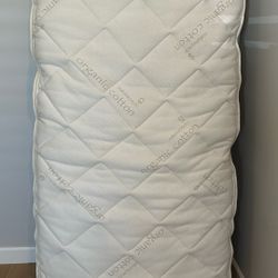 Naturepedic Twin Xl Matress