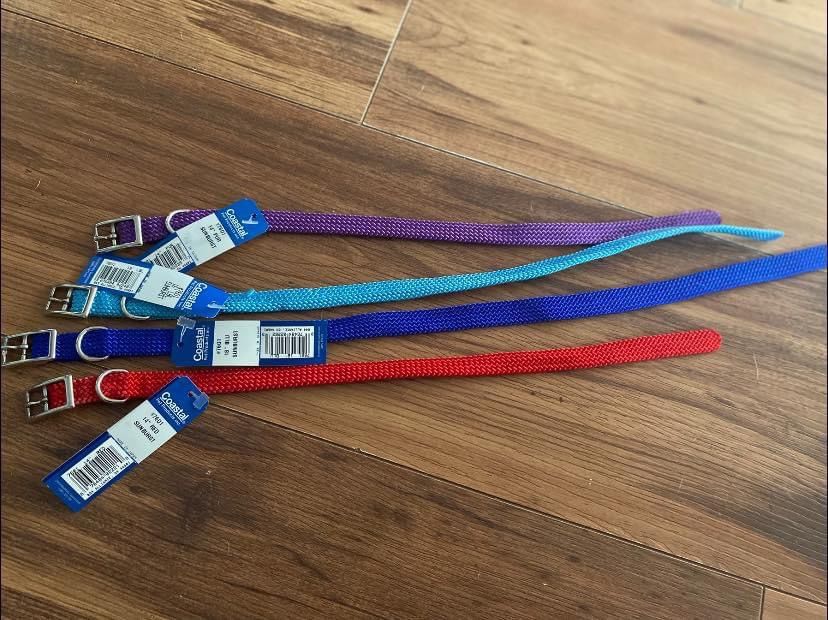 Small Dog Collars