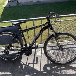 Mountain Bike, Schwinn