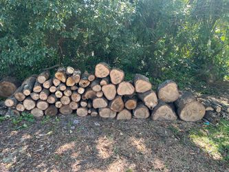 Cut dry oak fireplace bonfire home heating wood logs $35 or $1 ea pc