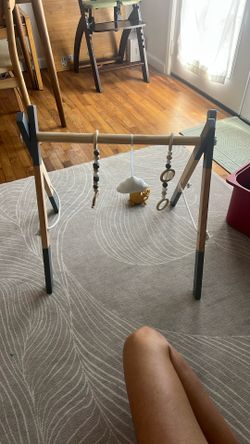Baby Play Gym