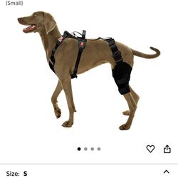 Professional Dog Knee Brace With Harness