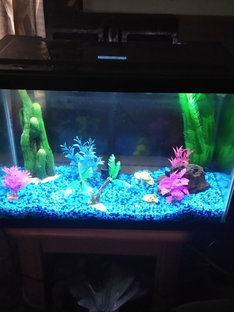 20 Gal High Fish Tank.