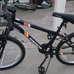 Roadmaster Bike for Sale
