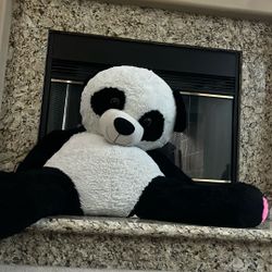 A Giant Panda