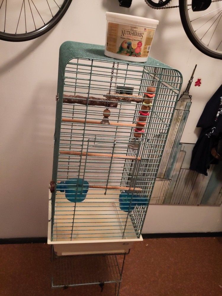 Medium Size Bird Cage