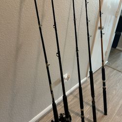 Heavy Duty Casting Rods 
