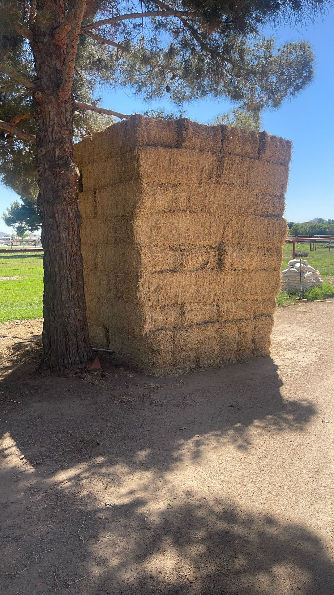 Alfalfa Hay