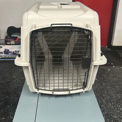 Pet Kennel