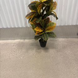 Croton artificial plant …39“ high  $35