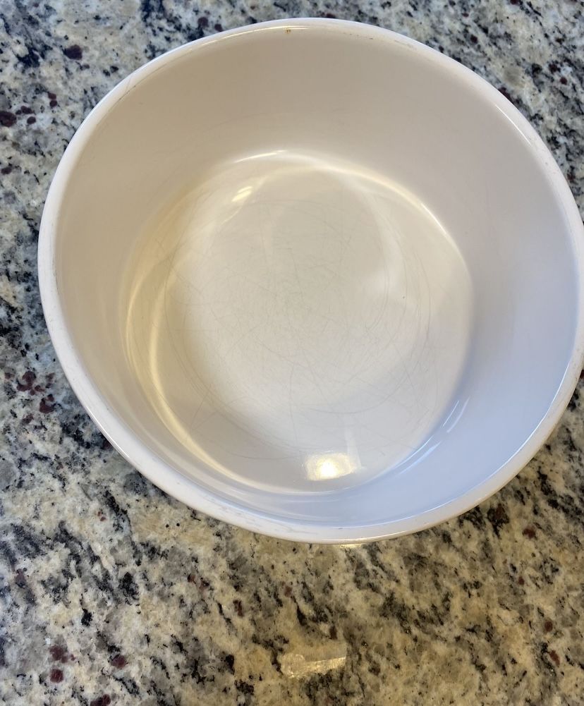 Dog Bowl