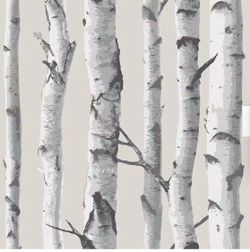 Full roll of Birch Tree Wallpaper