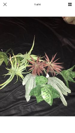 10 different kind artificial cactus