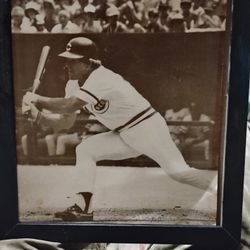 Pete Rose Picture 