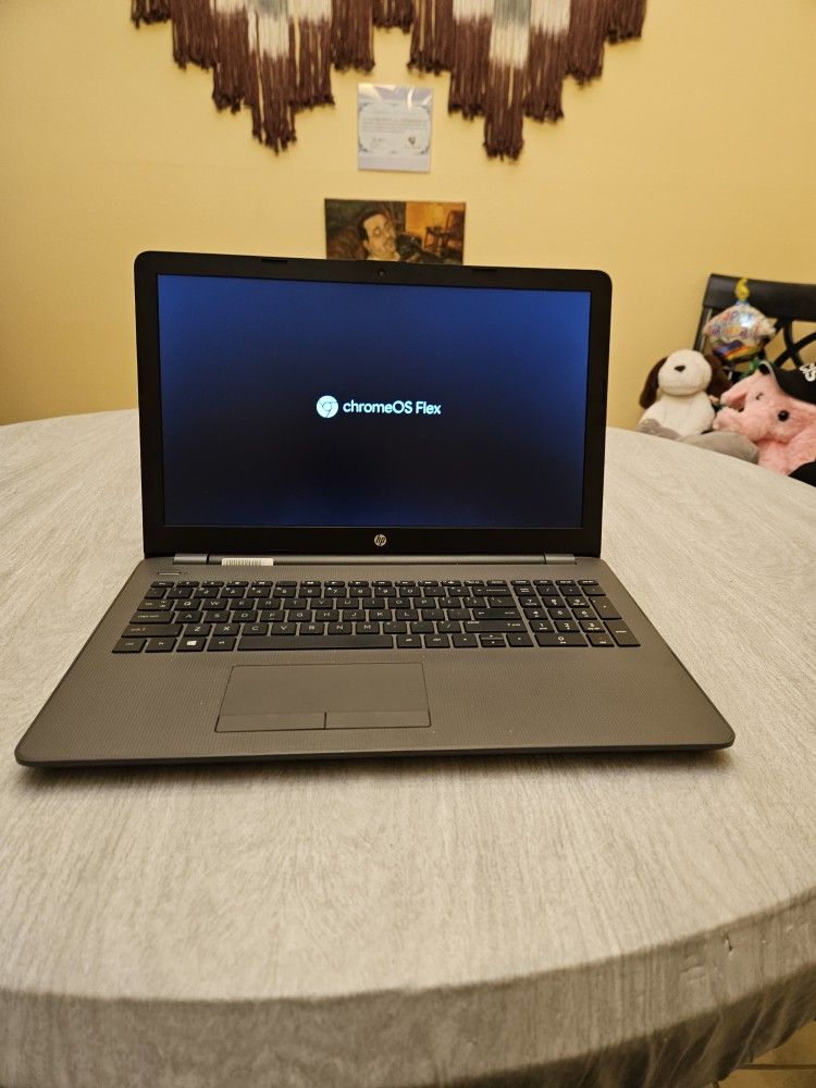 HP 15 AMD Processor Up To 2 GHZ 8 GB Ram Upgraded SSD New Battery Chrome OS Flex