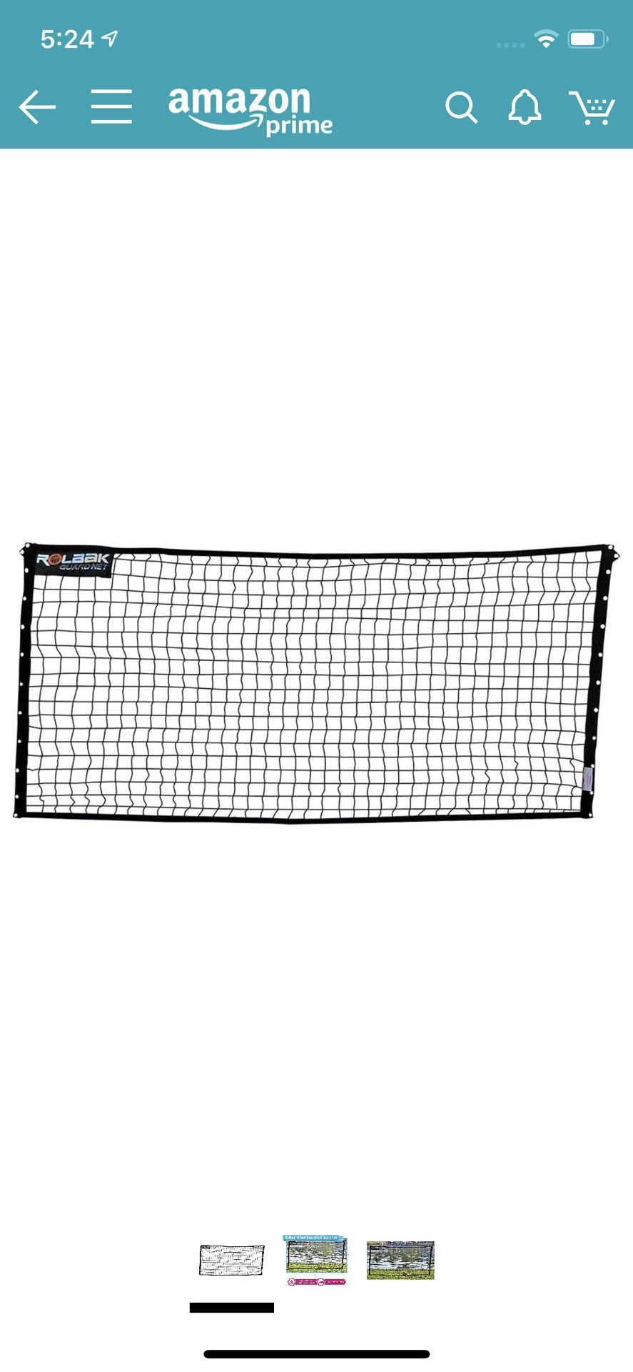 Rollback net 10 foot - behind basketball hoop / driveway