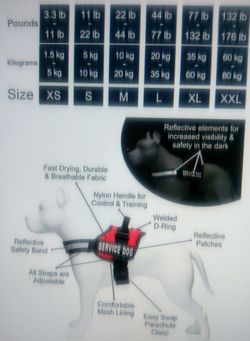 New ALL- IN- ONE NO PULL DOG HARNESS (small)