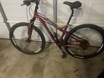 29” Specialized Bike