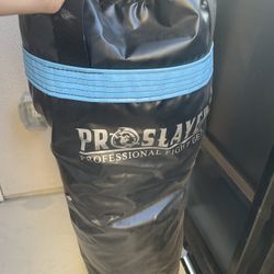 Boxing Bag