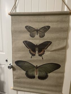 Butterfly Scroll