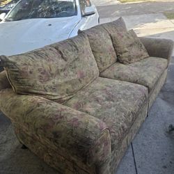 Curb Alert Free Queen Size Pull Out Bed Couch