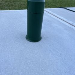 Squirrel And Raccoon Stopped