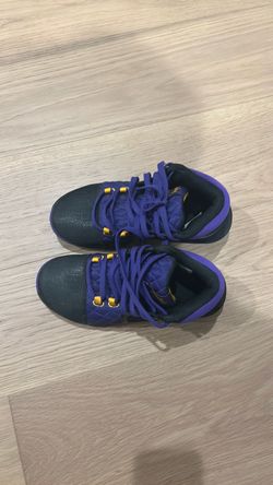 LeBron Nike Witness 8 basketball