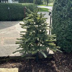 Frontgate Christmas Tree