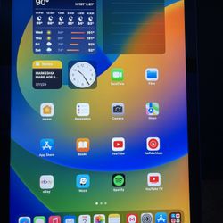 iPad 10.9 256gb (WiFi+cellular)