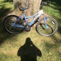 26” Cruiser Bike (6 Speed)
