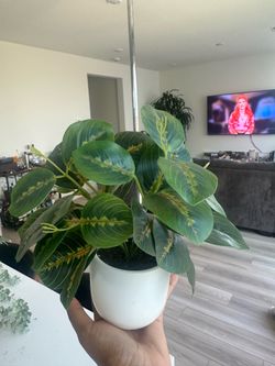 Small Artificial Plant