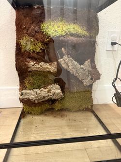 30 gallon reptile terrarium with supplies and custom background