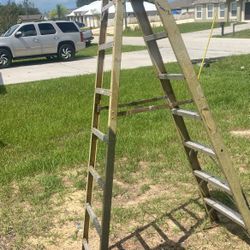 8ft Werner Ladder 🪜 