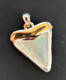 Mother of Pearl Shark Tooth Pendant