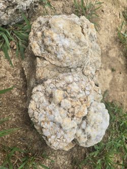 Brooks Bedrock Organic Aquarium Decor Geodes Fossils Rock Shipping Only s