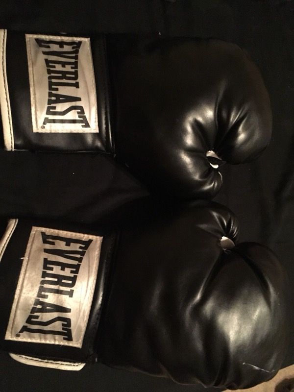 Everlast Boxing Gloves