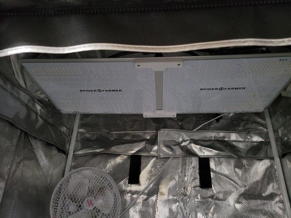 Spider Farmer Double Panel Grow Light 250w