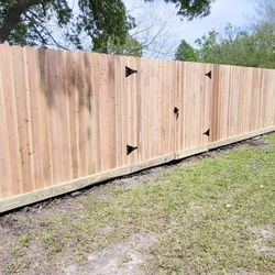 Cedar Fence