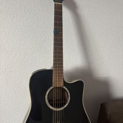 Takamine Acoustic Electric G Series