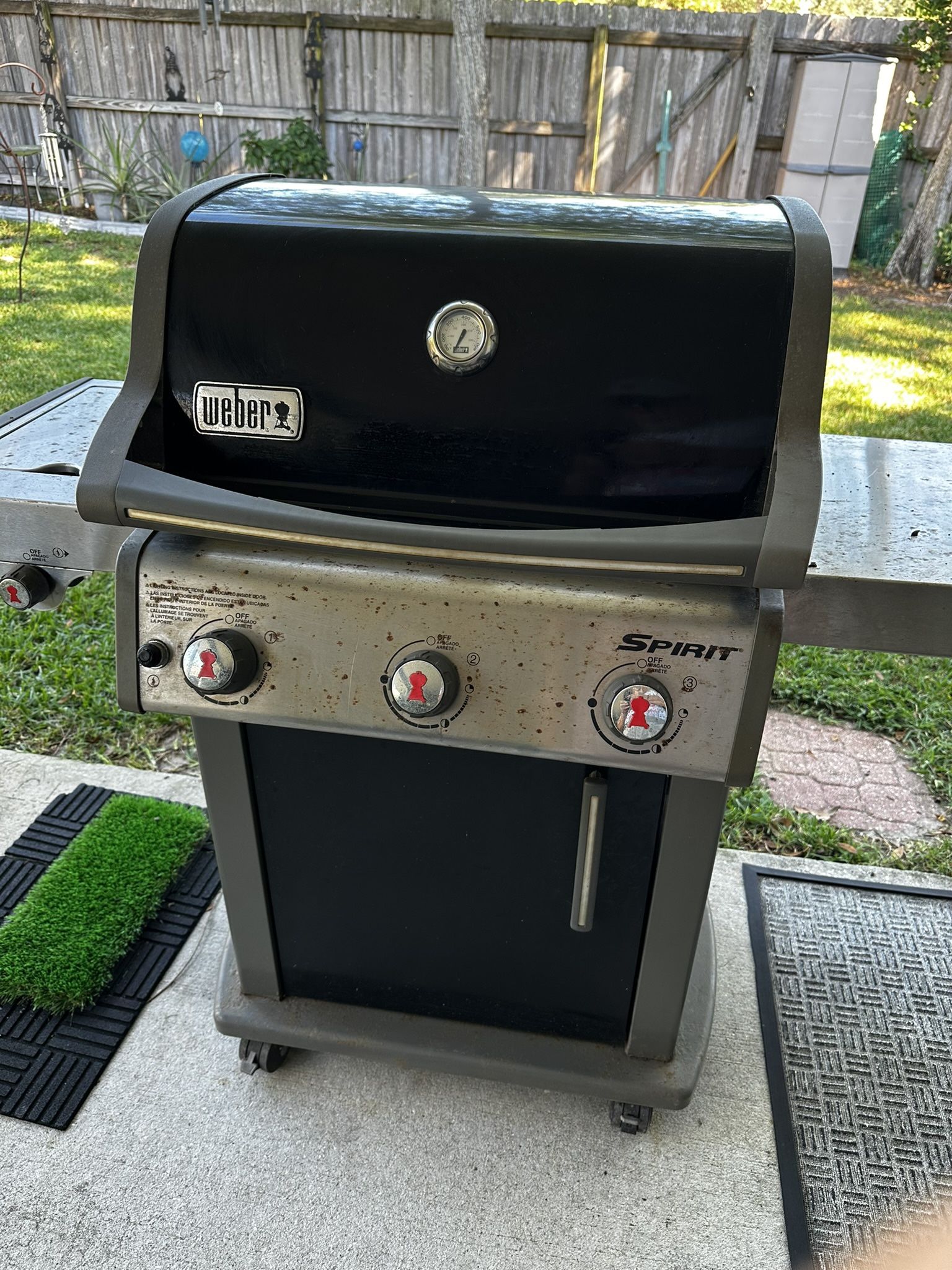 Weber Gas Grill