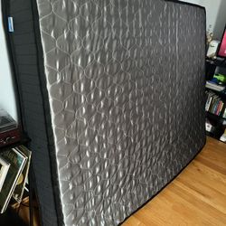 Queen Mattress
