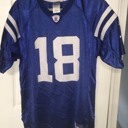 REEBOK INDIANAPOLIS COLTS PEYTON MANNING JERSEY YOUTH SIZE XL 18/20 Pre-owned Please see photos - minor cracking on numbers