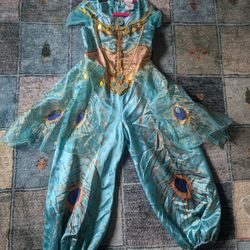 Jasmine Costume 