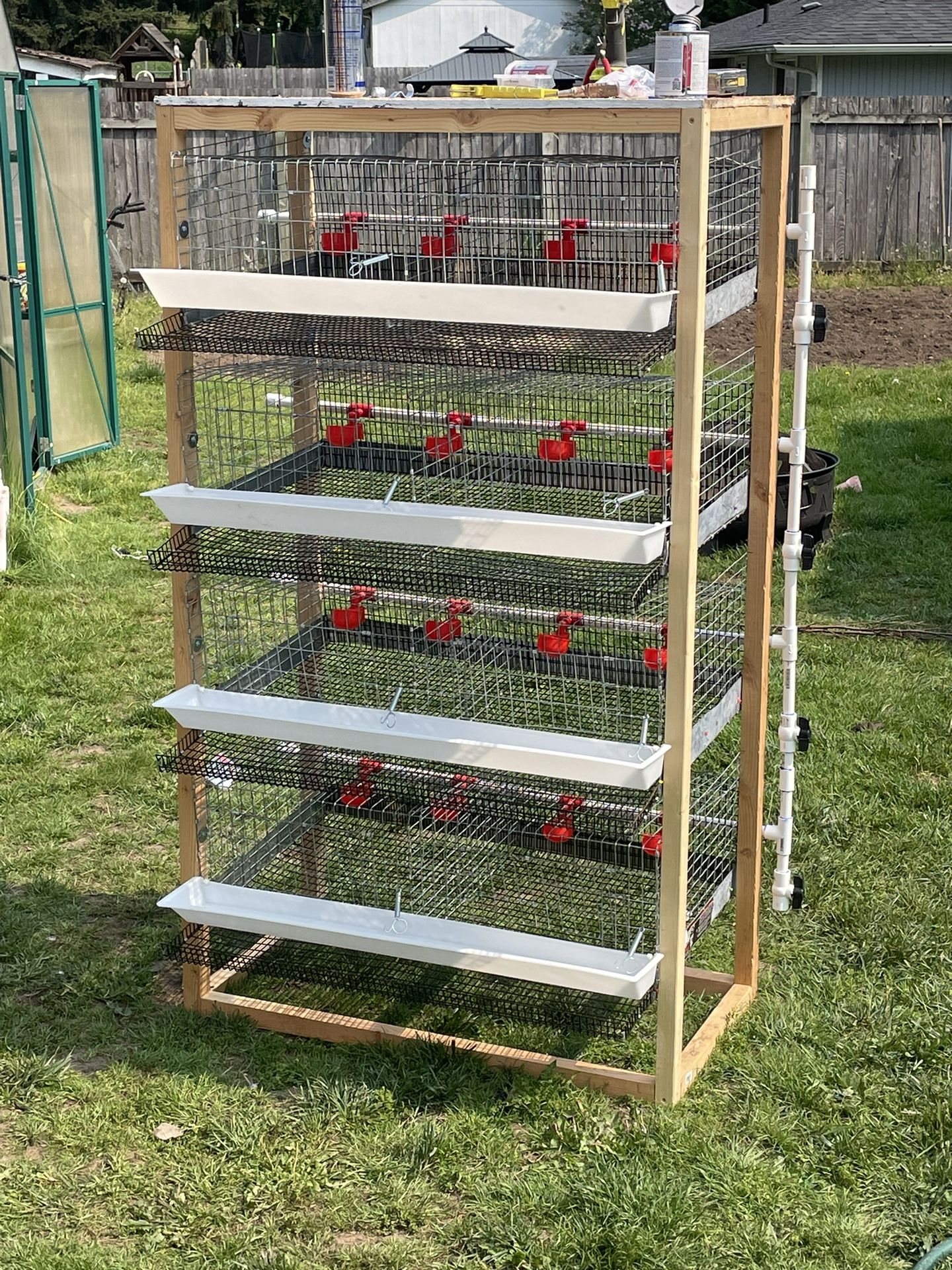 Wire Quail Cages