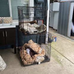 Dog Camels (large),,$80ea