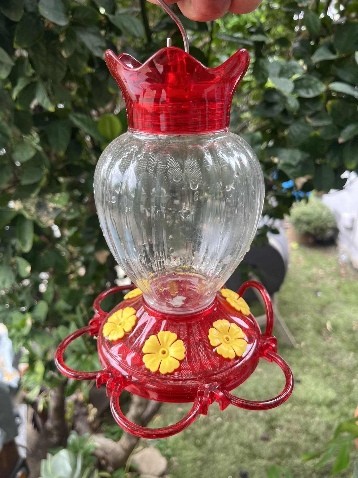 Humming Bird Feeder