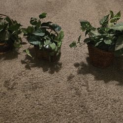 3 Small Artificial Plants With Wicker Basket