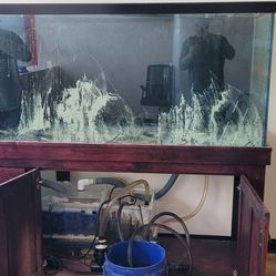 220g Large Tank