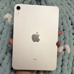 iPad Mini 6 Starlight